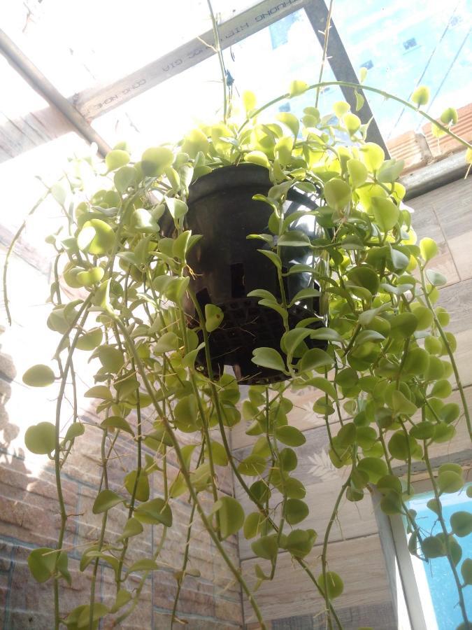 Ha Tien Homestay Екстер'єр фото